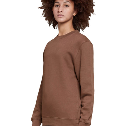 Unisex Premium Crewneck Sweatshirt ( buy plain or customize it ) - Print-View