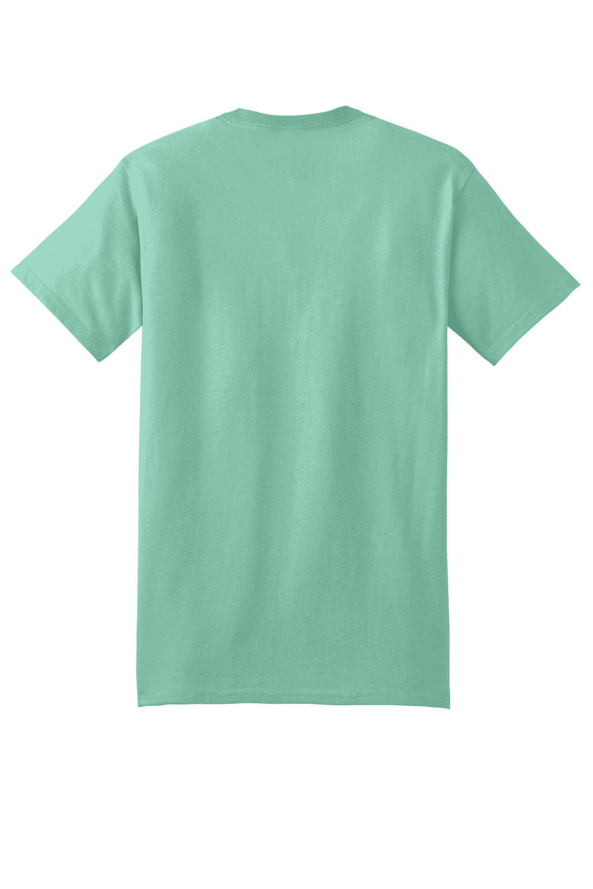 Hanes® Beefy-T® heavyweight 100% cotton short sleeve T-shirt in mint, shown from the back, customizable at print view.