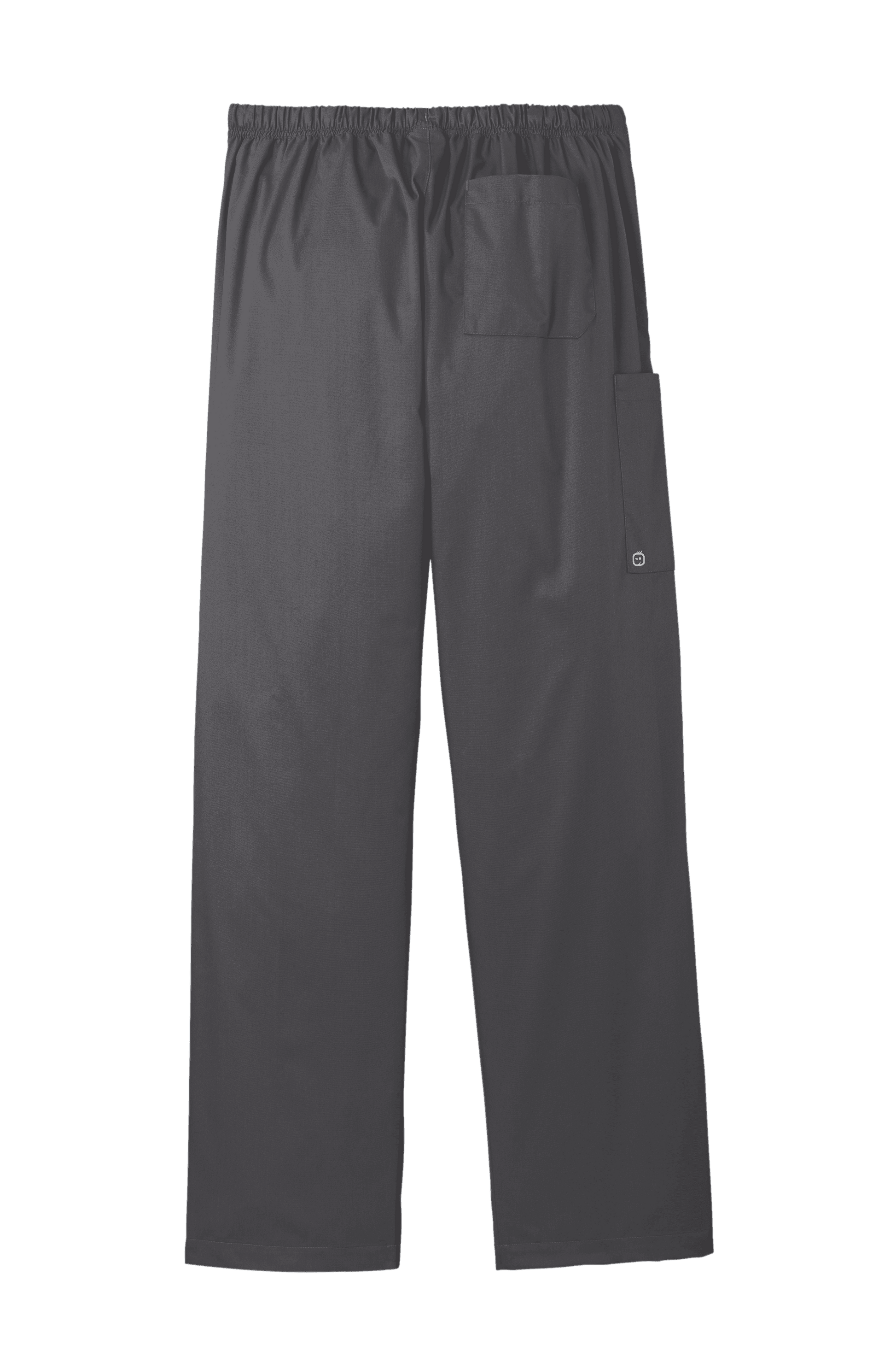 Wink unisex short work flex cargo scrub pants in pewter grey, featuring multiple pockets and a comfortable fit for medical professionals.